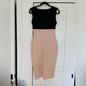 Shape Hugging Zara Dress NEW